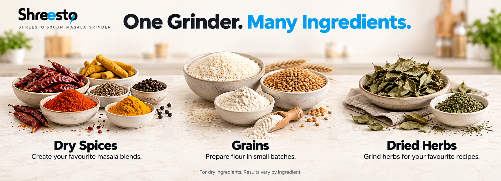 Shreesto 500GM Grinder multiple uses